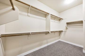 Interior 14
